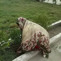 Green Seekers Activity